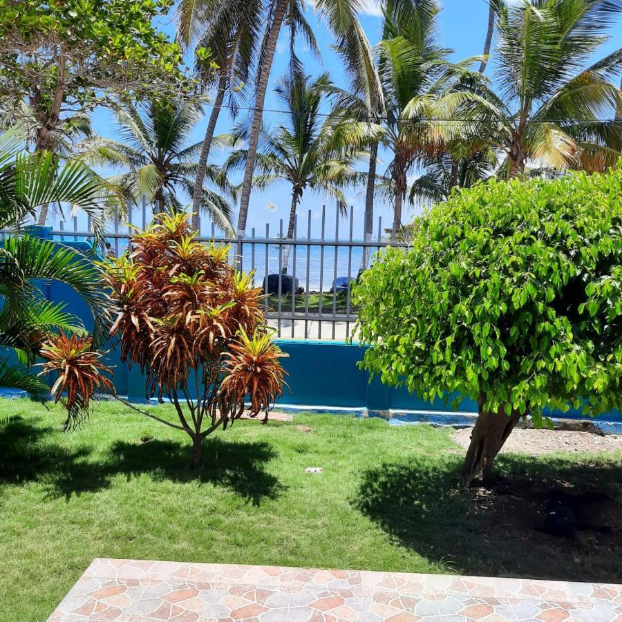 Guest house Nativa Miss Nova