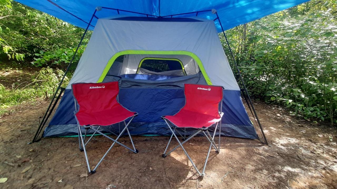 Campsite Irie Town *
