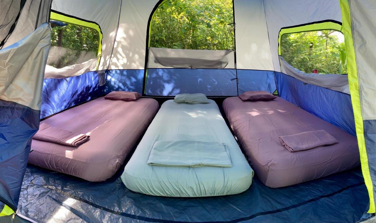 Campsite Irie Town