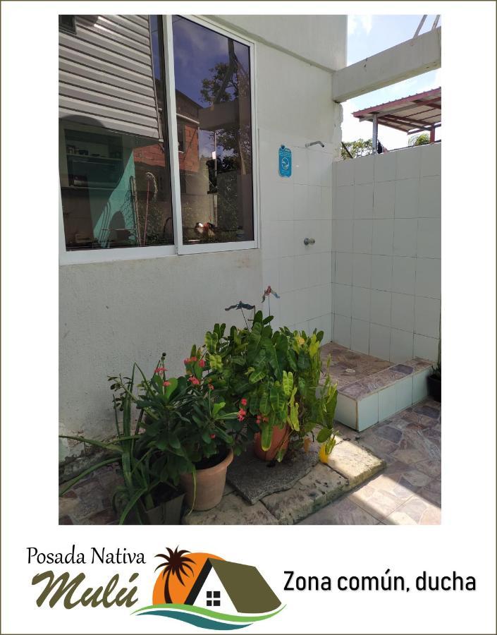 Nativa Mulu Holiday home