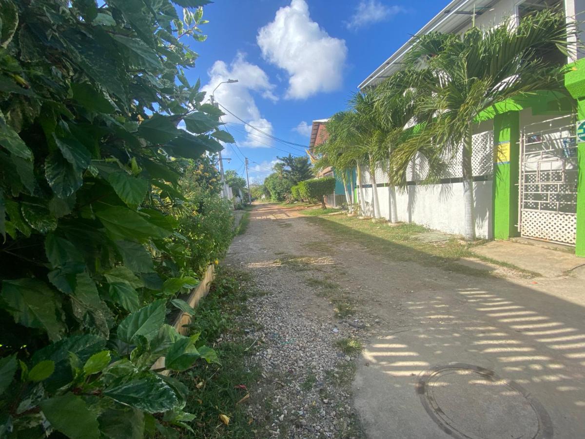 Palmas San Andrés