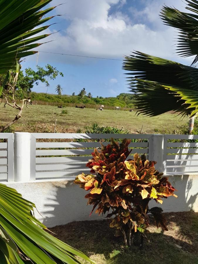 Apartamento Koolview San Andrés