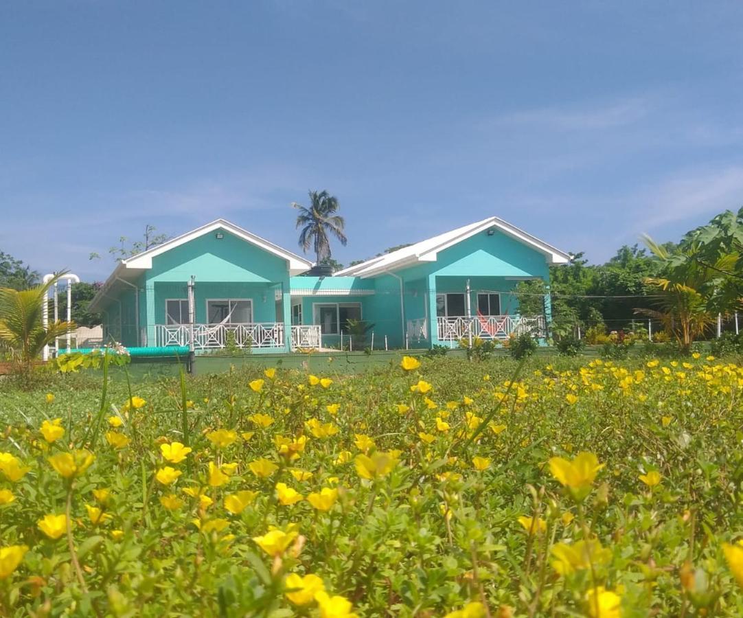 Lodge Blue Lizard House San Andrés
