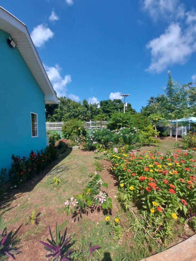Blue Lizard House * San Andrés