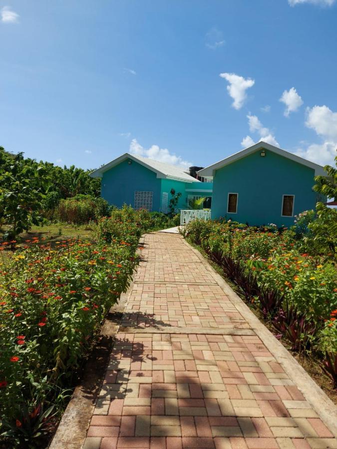 Blue Lizard House Lodge