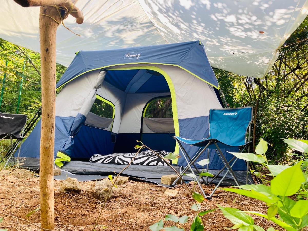 Campsite Irie Town *