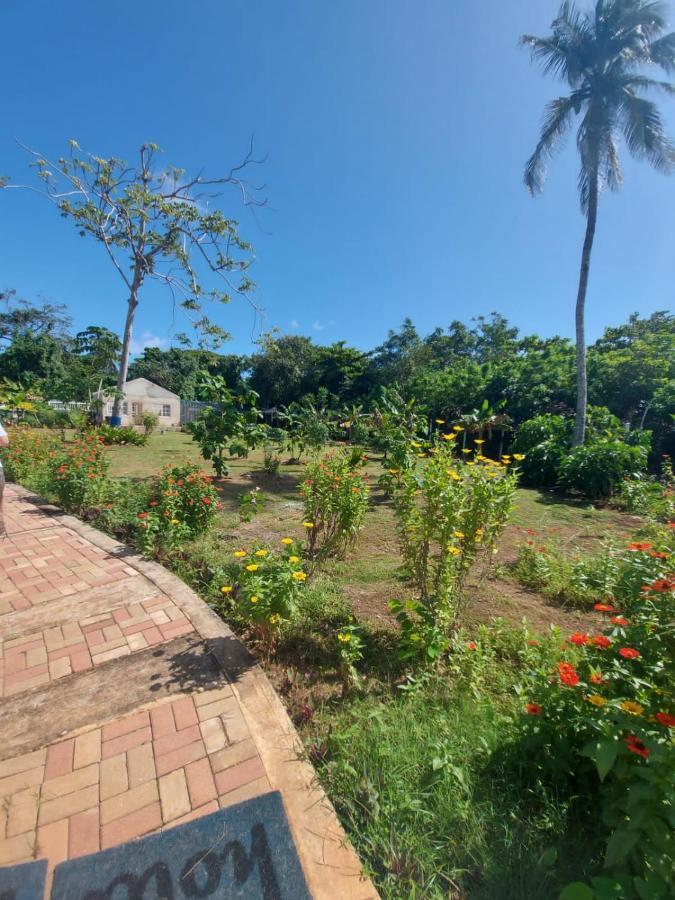 Blue Lizard House Lodge San Andrés