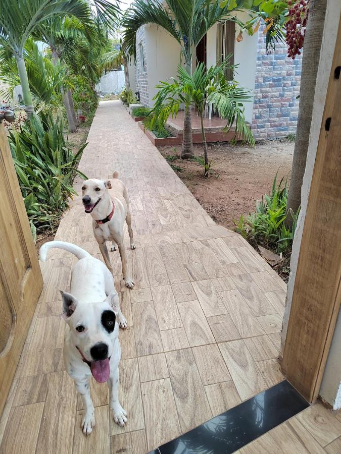 Guest house Aparta Roko San Andres (San Andres and Providencia Islands)