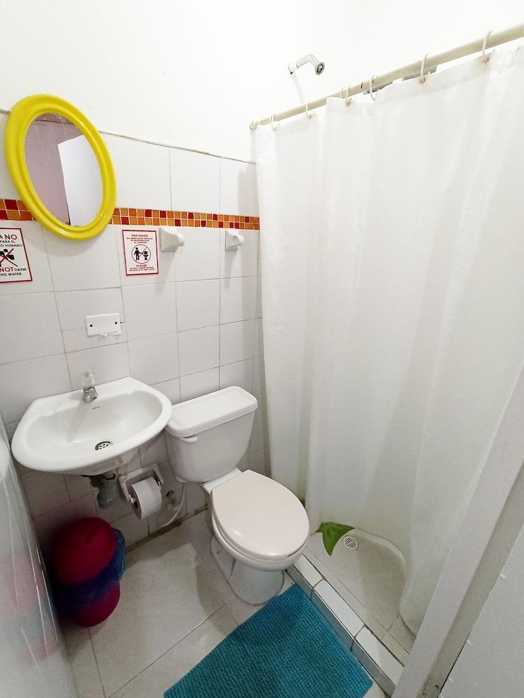 Hostal Nativa Lizard House