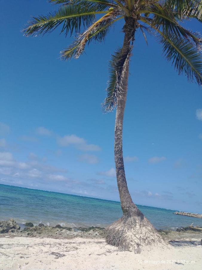 Oceans Paradise Hotel 5*