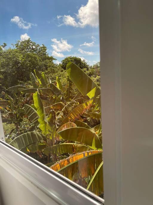 Apartamento Danisha's Place Vip San Andrés