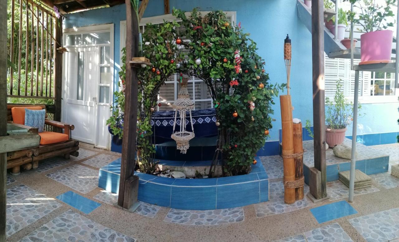 Casa Royal Palm 4*