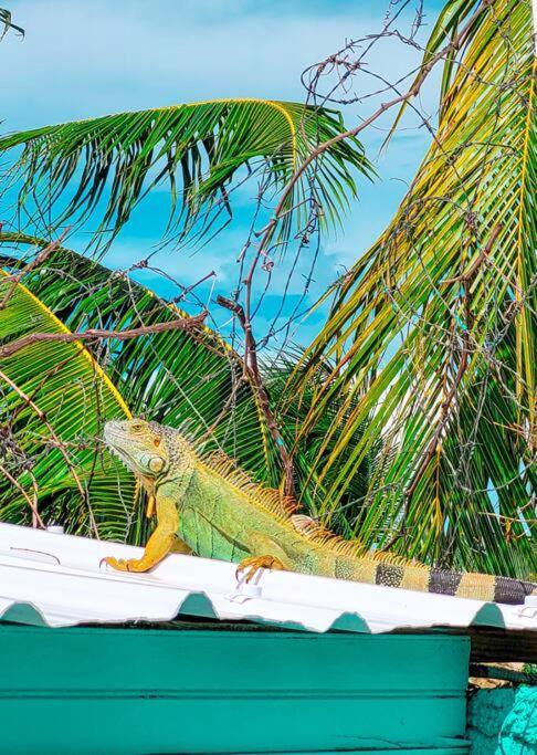 Сasa de vacaciones La Cabana Sai