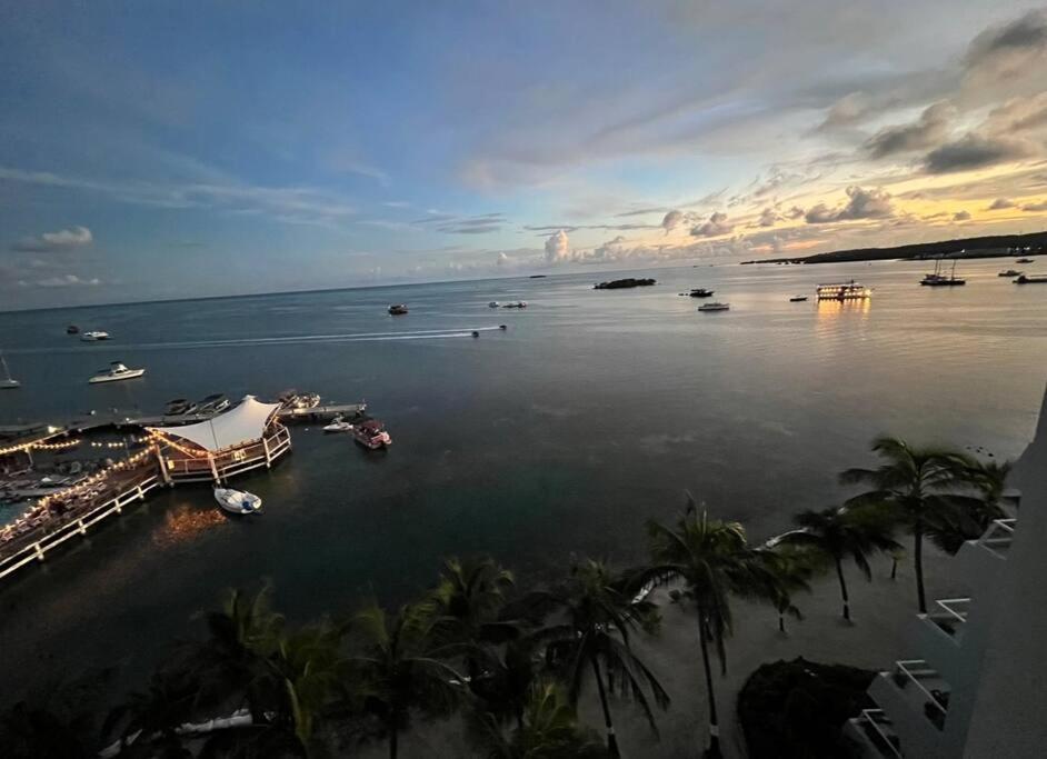 Paradiseapt, Private