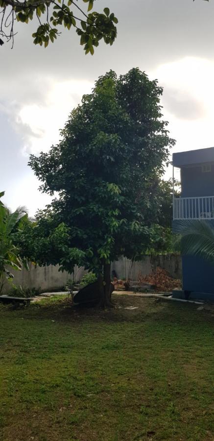 Lodgefabi'splace Lodge San Andrés