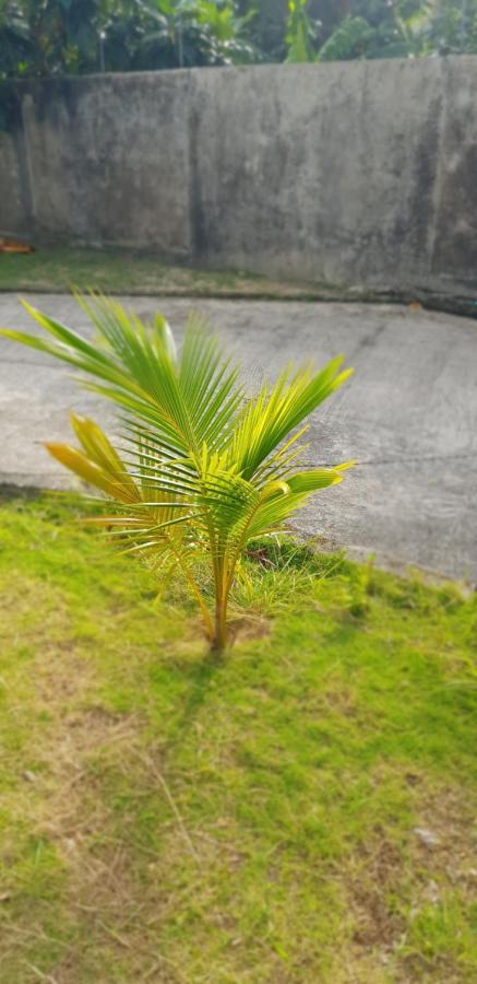 Lodgefabi'splace Lodge San Andrés