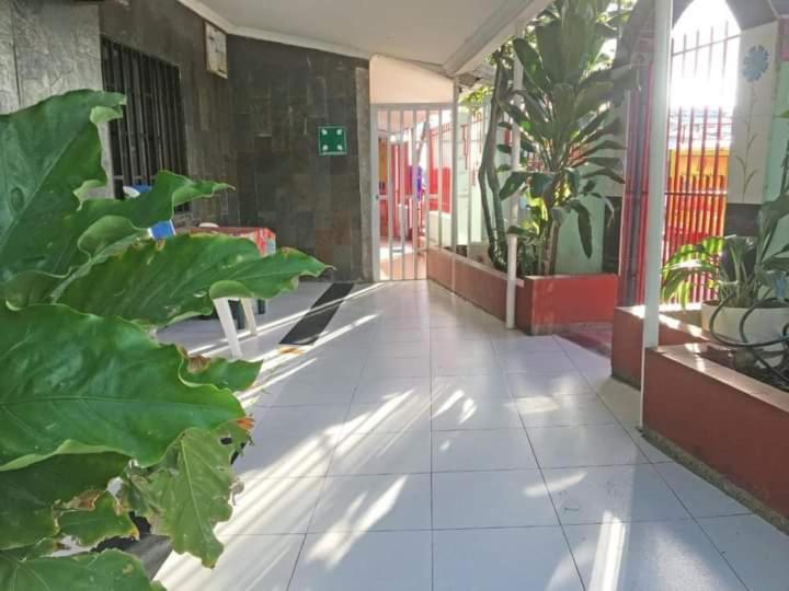 Nativa El Olivo San Andrés