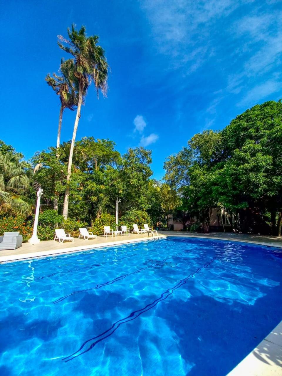 Casa Palmas Boutique Hotel 4*