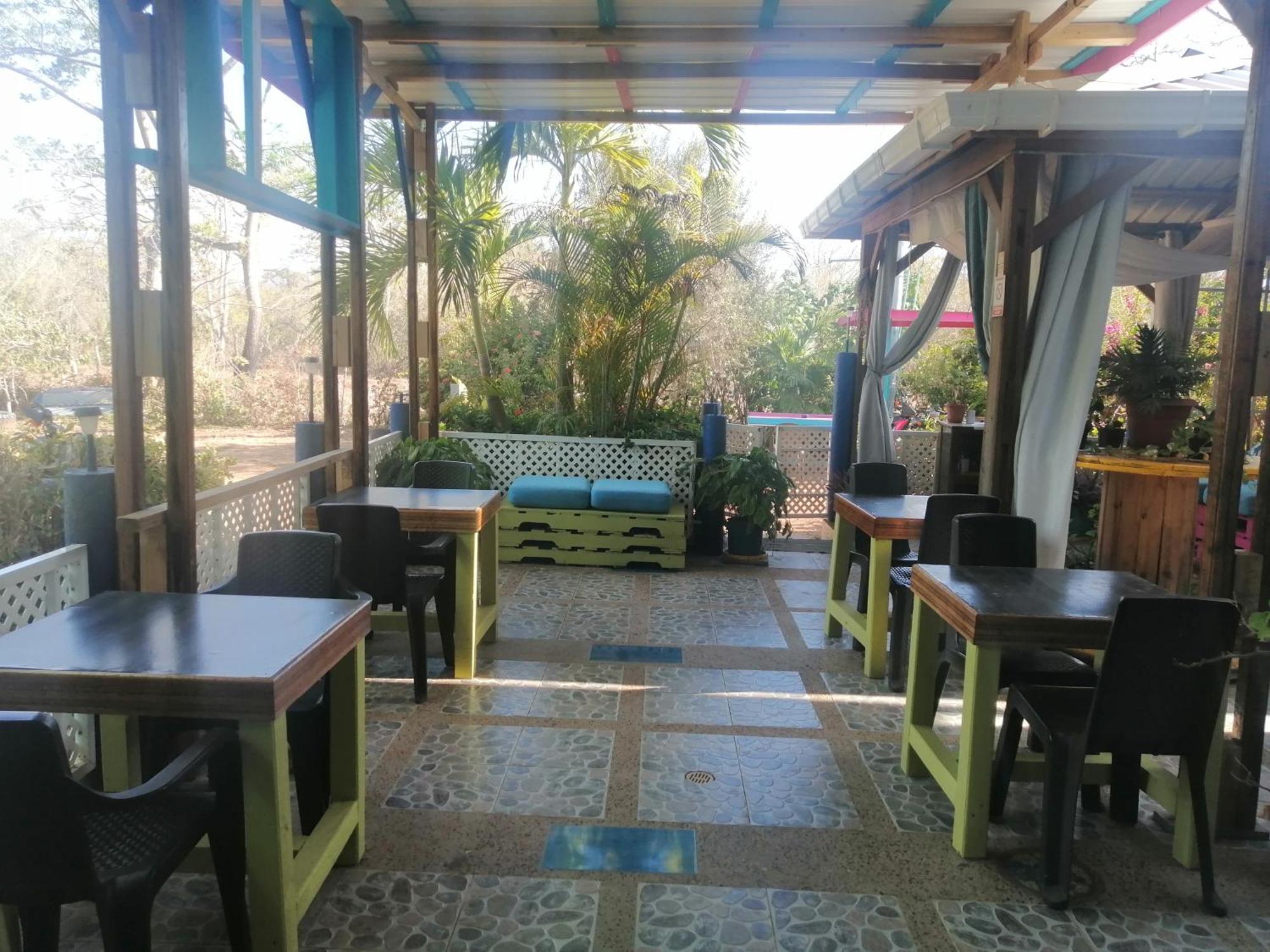 Apartahotel Casa Royal Palm