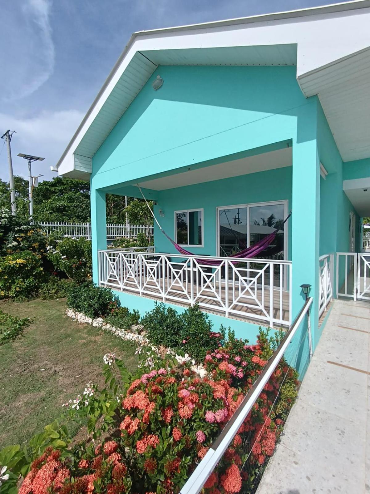 Blue Lizard House *