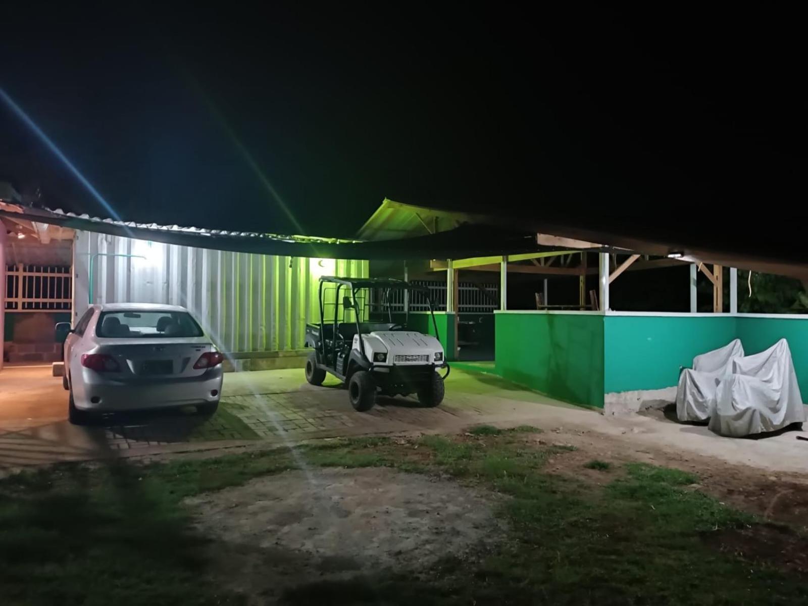 Lodge Blue Lizard House
