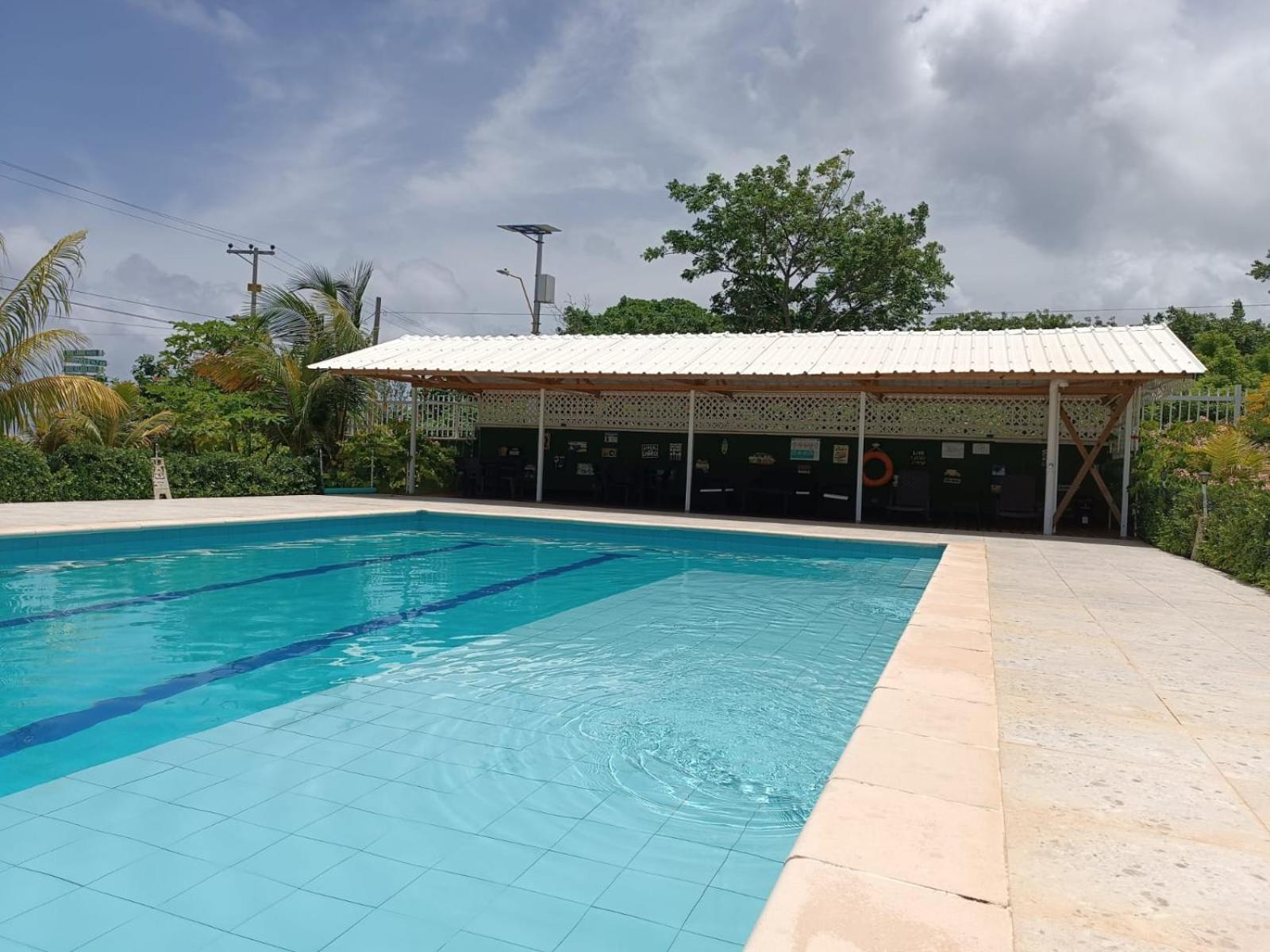 Lodge Blue Lizard House