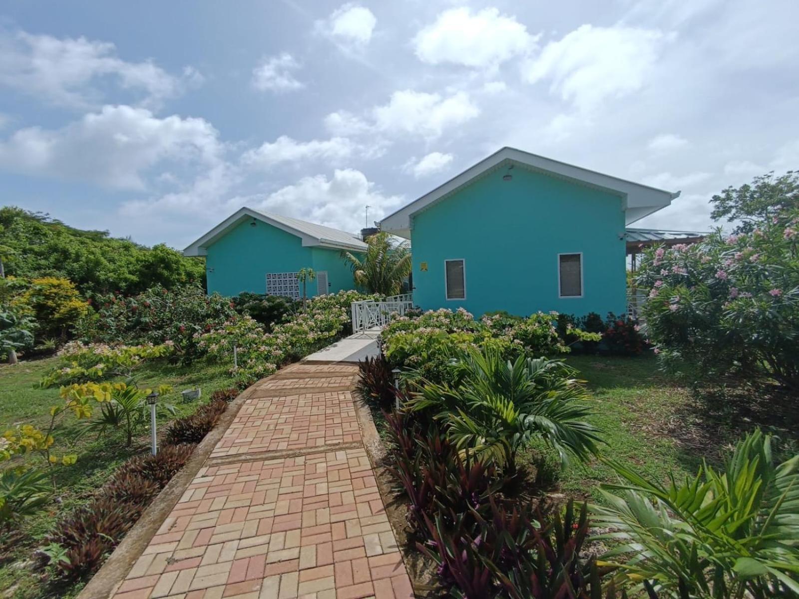Blue Lizard House * San Andrés