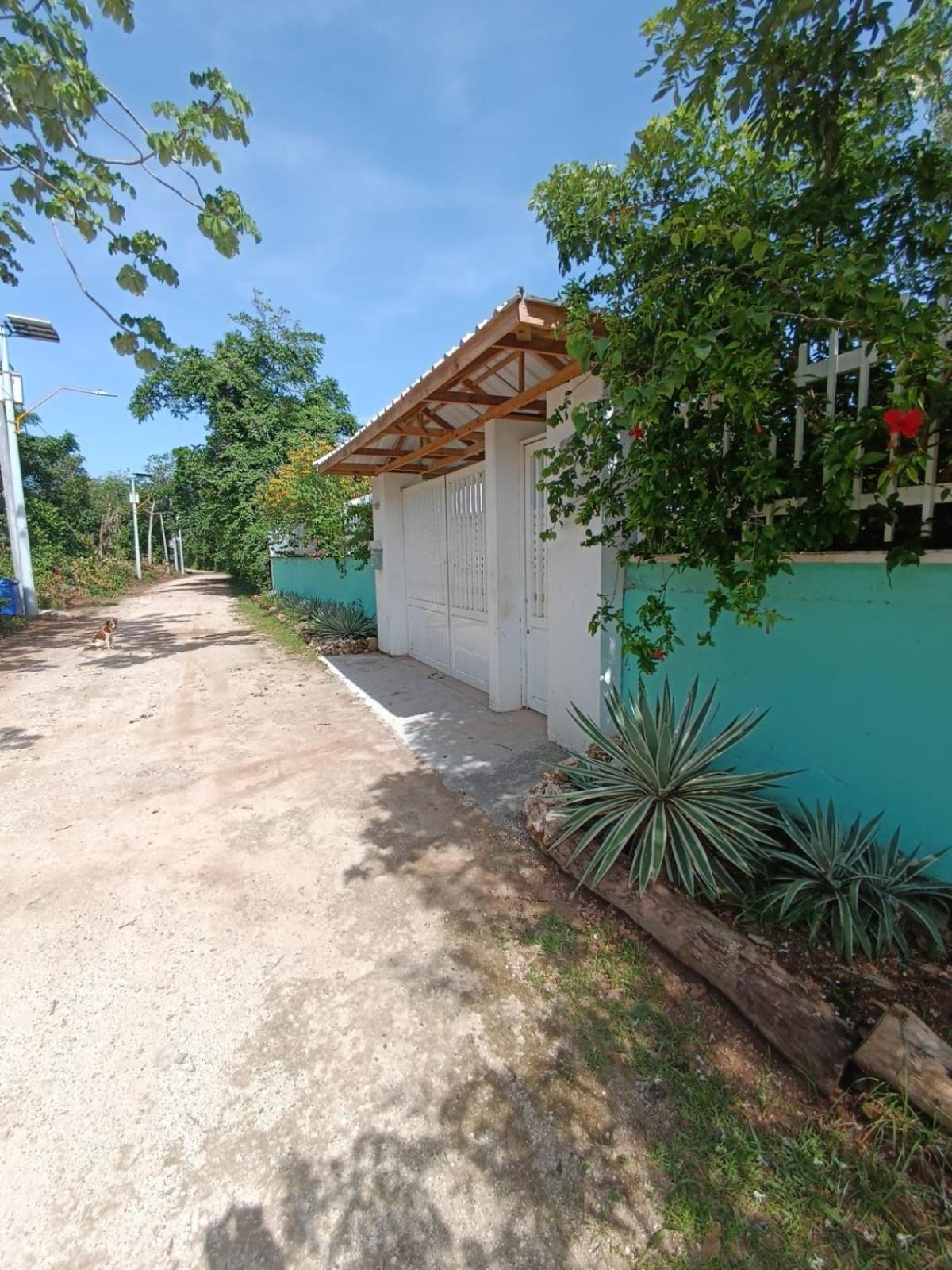Lodge Blue Lizard House San Andrés