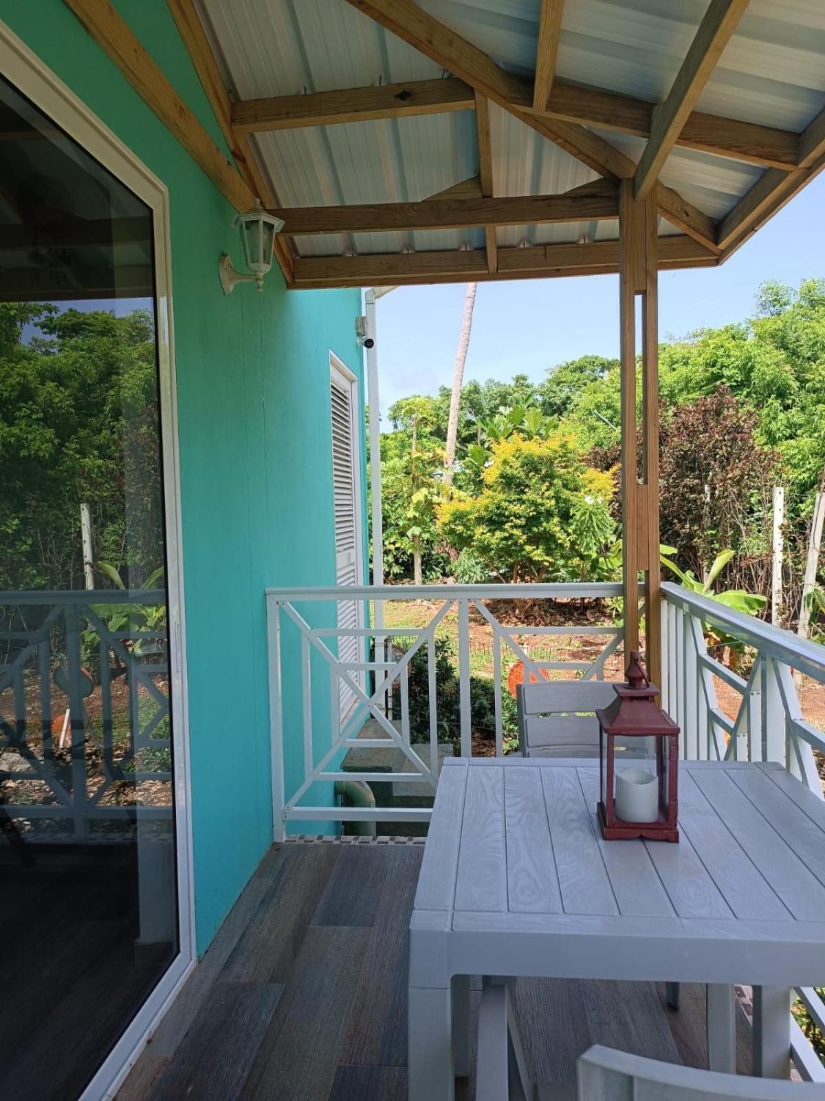 Blue Lizard House * San Andrés