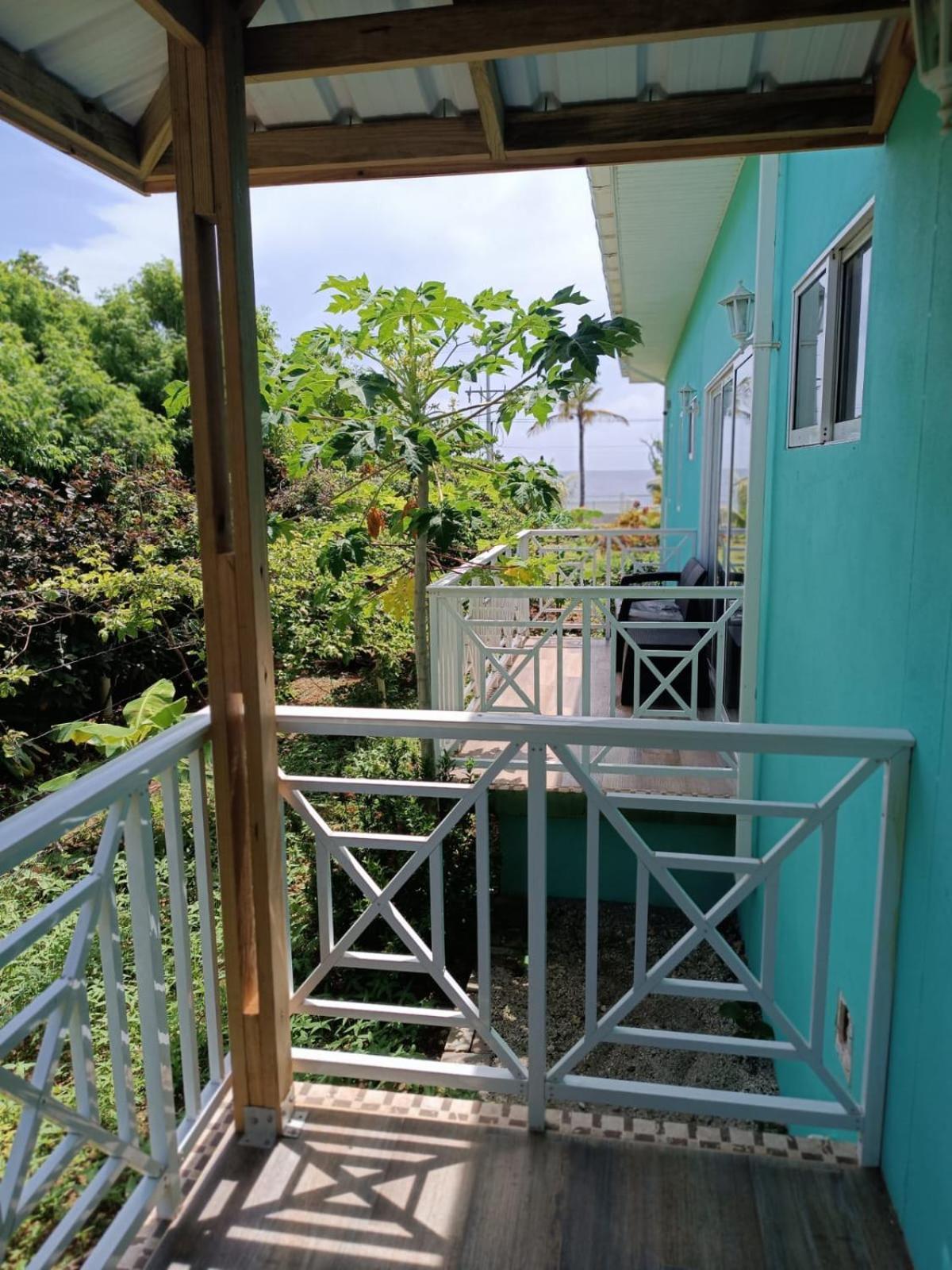 Blue Lizard House *