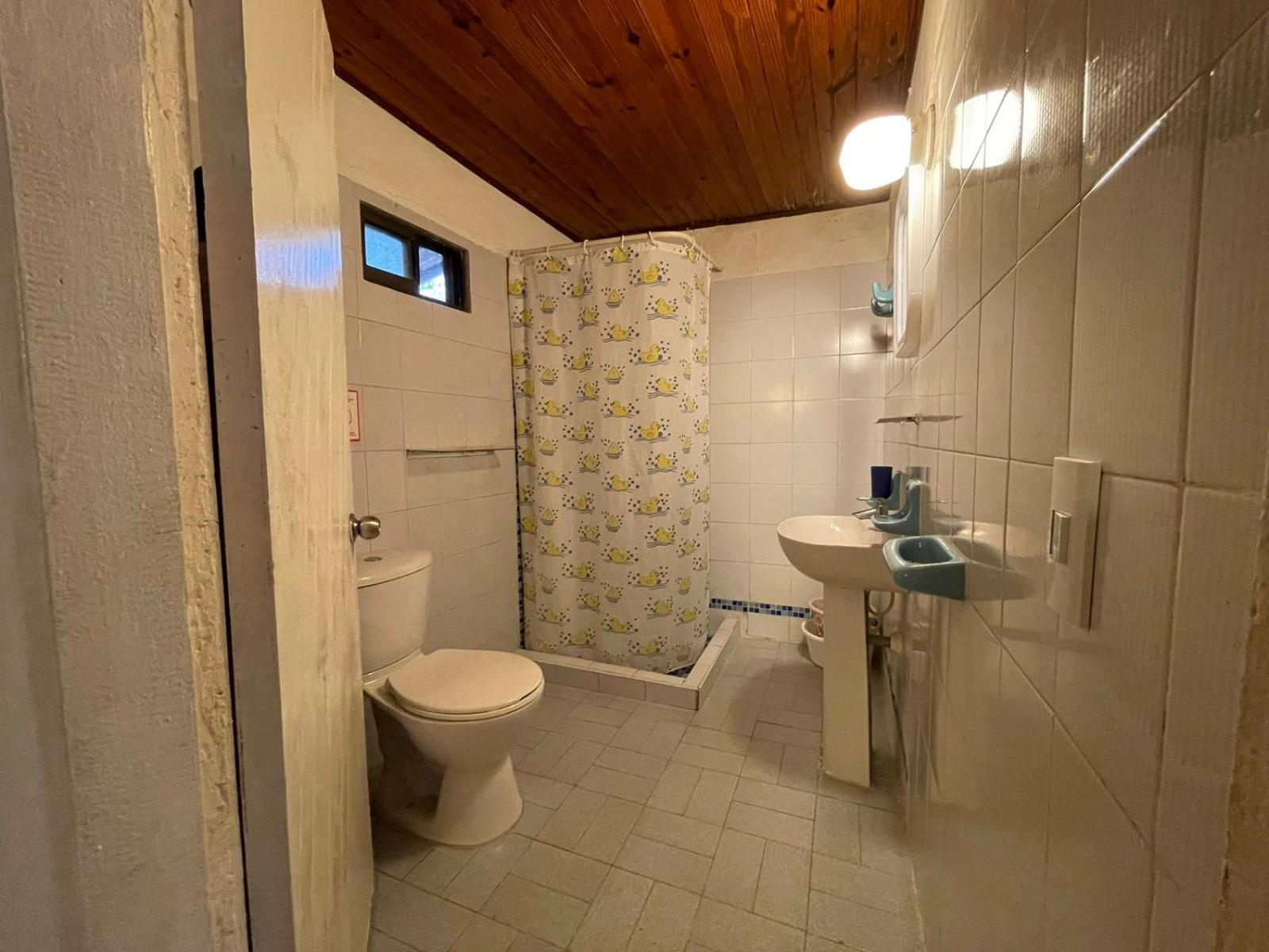 Apartment Caribbean Queen - Con Vista Al Jardin #2