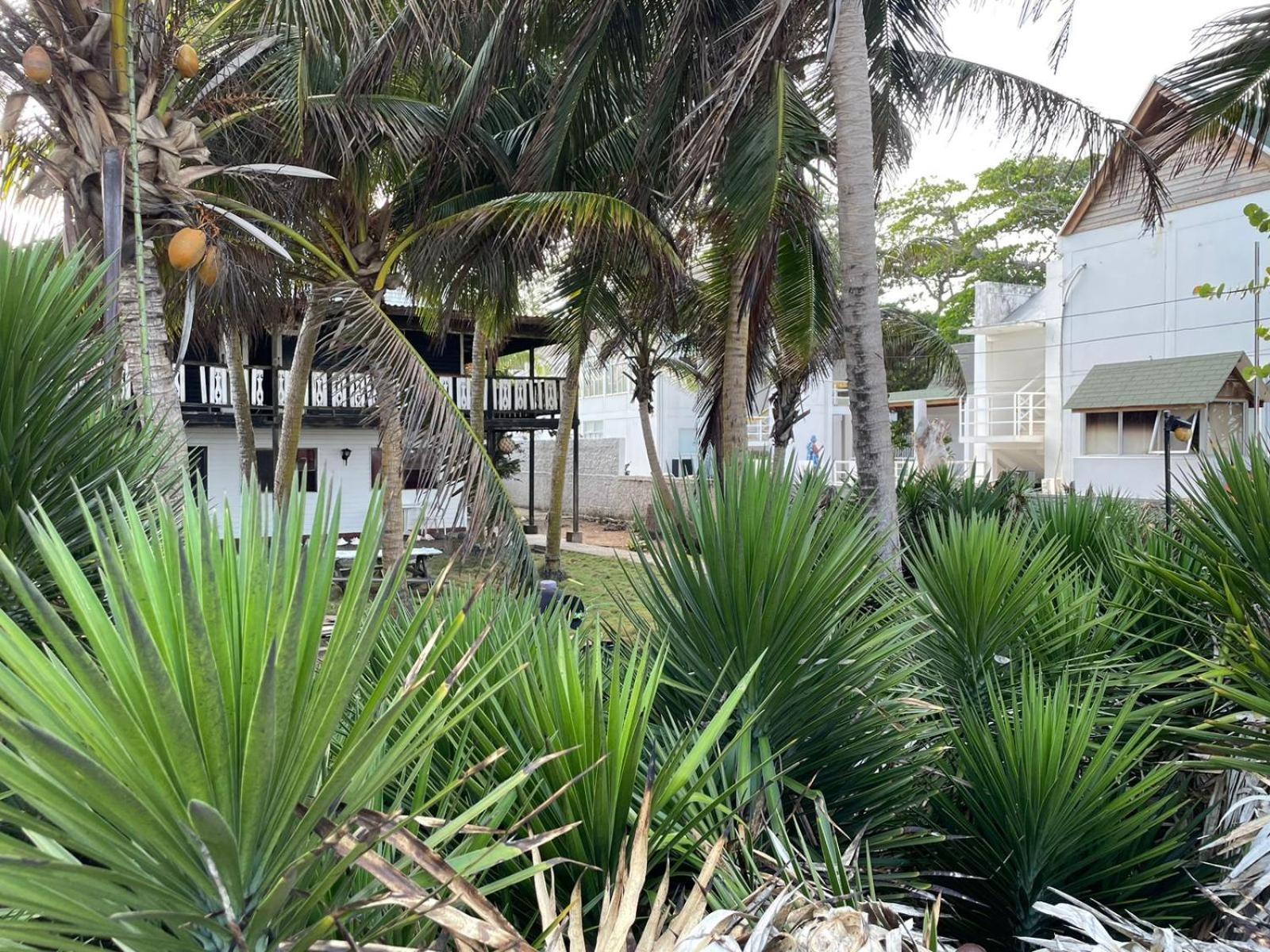Apartment Caribbean Queen - Con Vista Al Jardin #2 San Andres (San Andres and Providencia Islands)