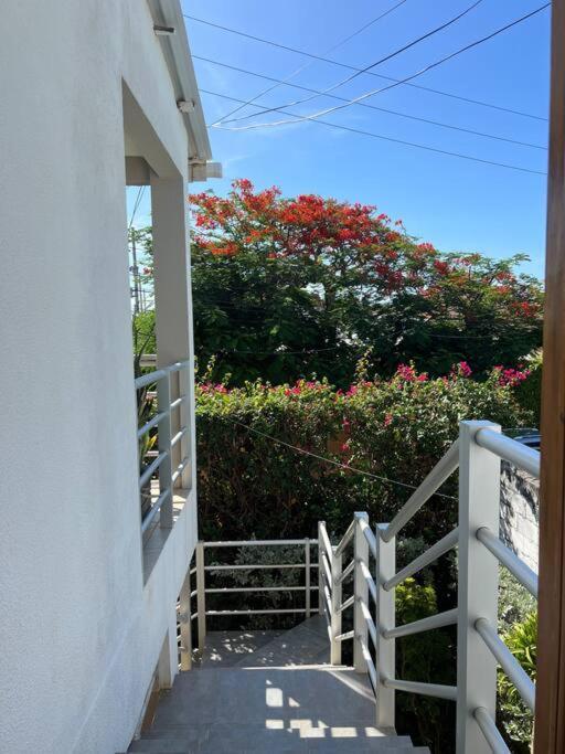 La Villana House Homestay *