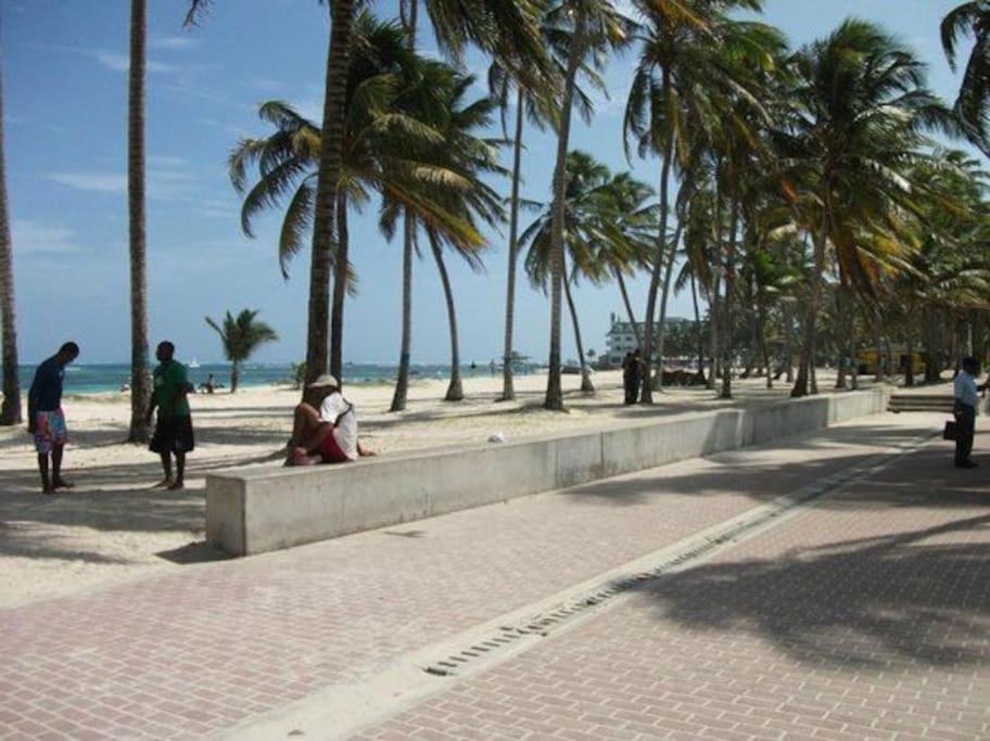 Apartamento A Dos Cuadras De Sprattbight San Andrés