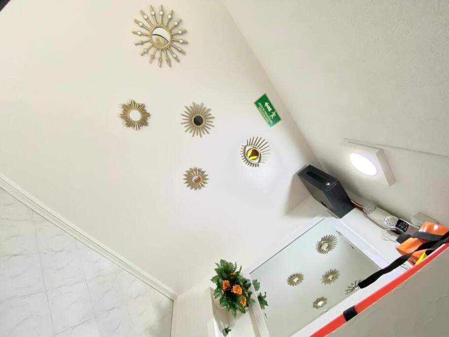 Excelente Vacacional Camel Apartamento