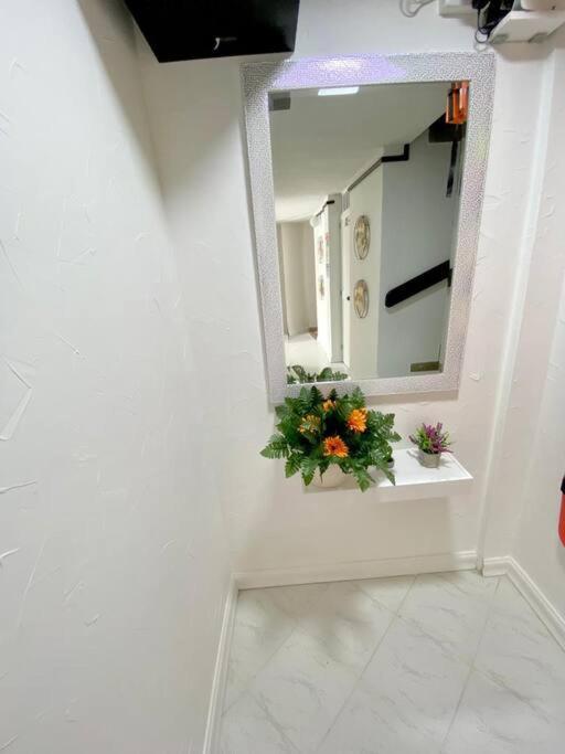 Apartamento Excelente Vacacional Camel San Andrés