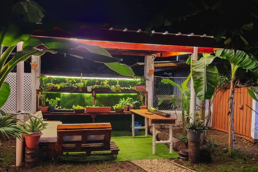 Turisticos - Boho Sai Apartamento San Andrés