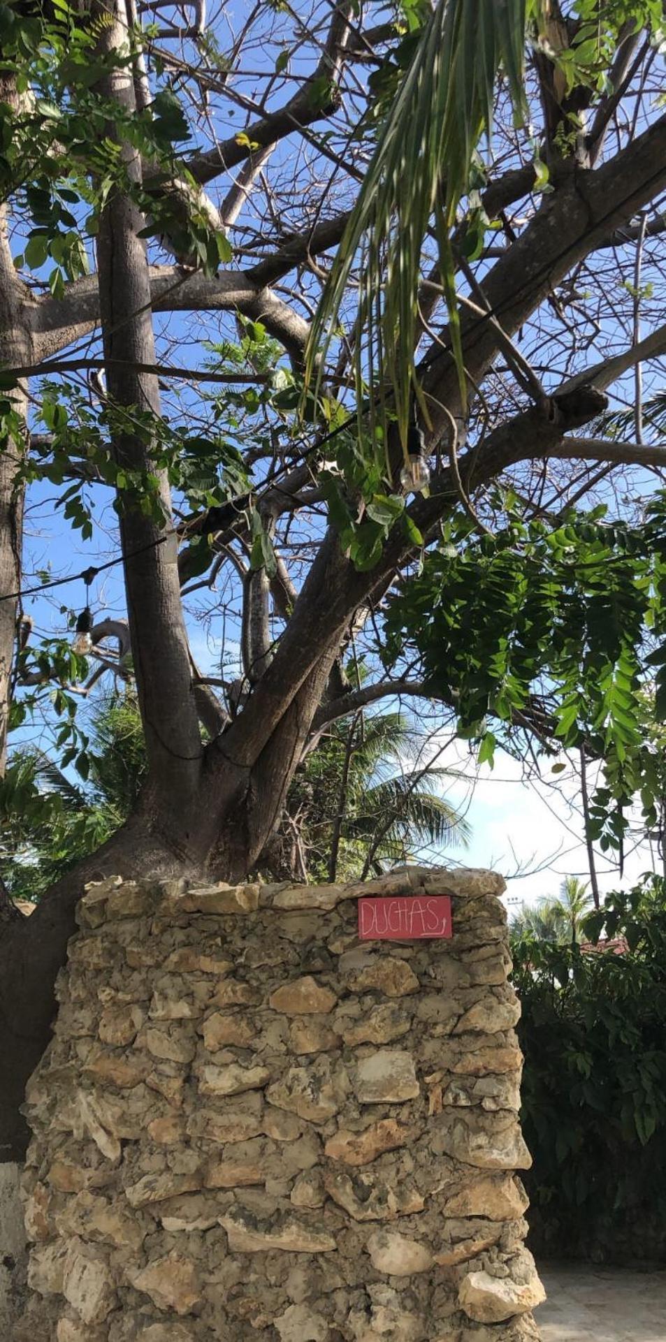 Casona La Carolina *