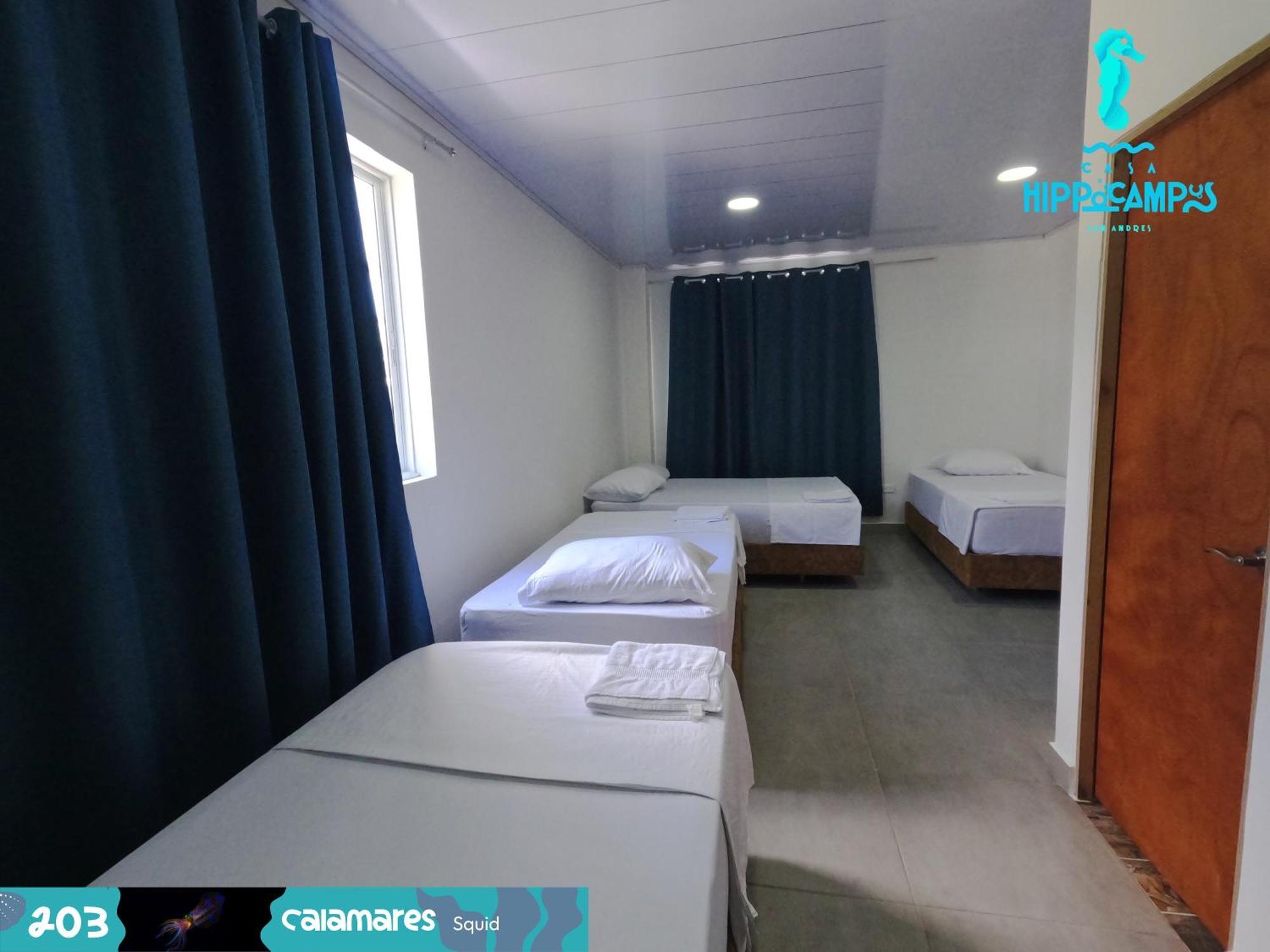 Bed and breakfast Sukha Hippocampus Isla San Andrés