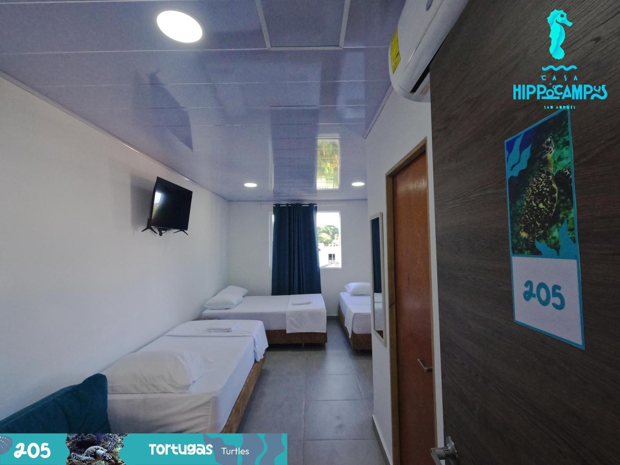 Bed and breakfast Sukha Hippocampus Isla