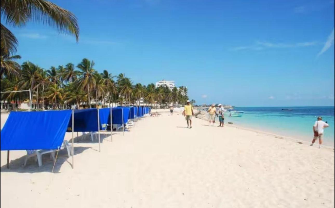 Hermosos Alado De La Playa