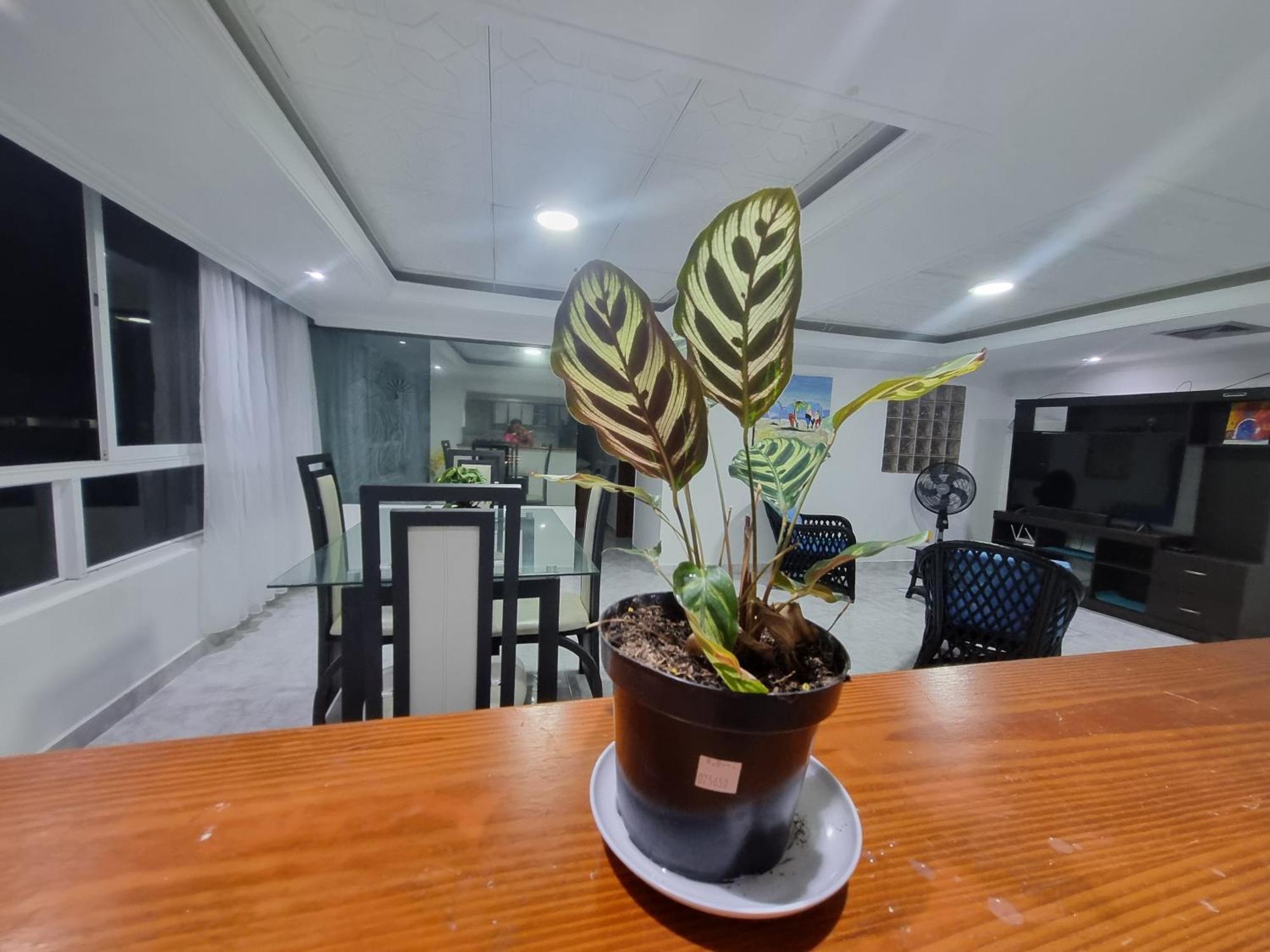 Bahia Fragata 803a Apartamento San Andrés