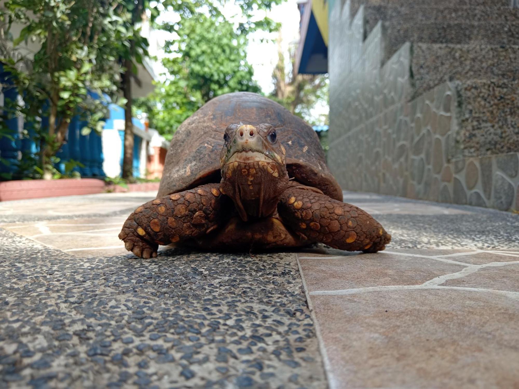 Turistico Angula Place Apartamento