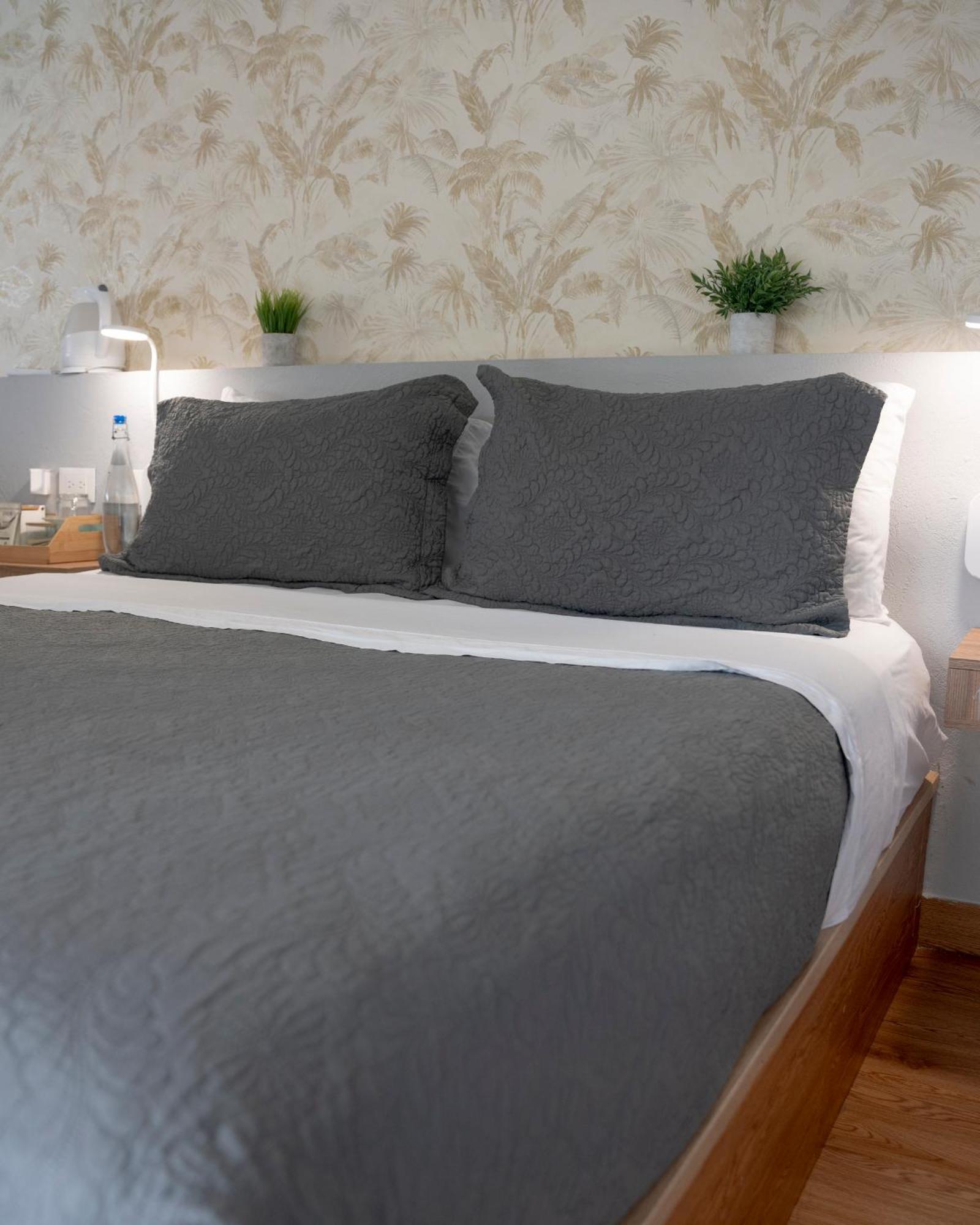Dreamer Club Hostal