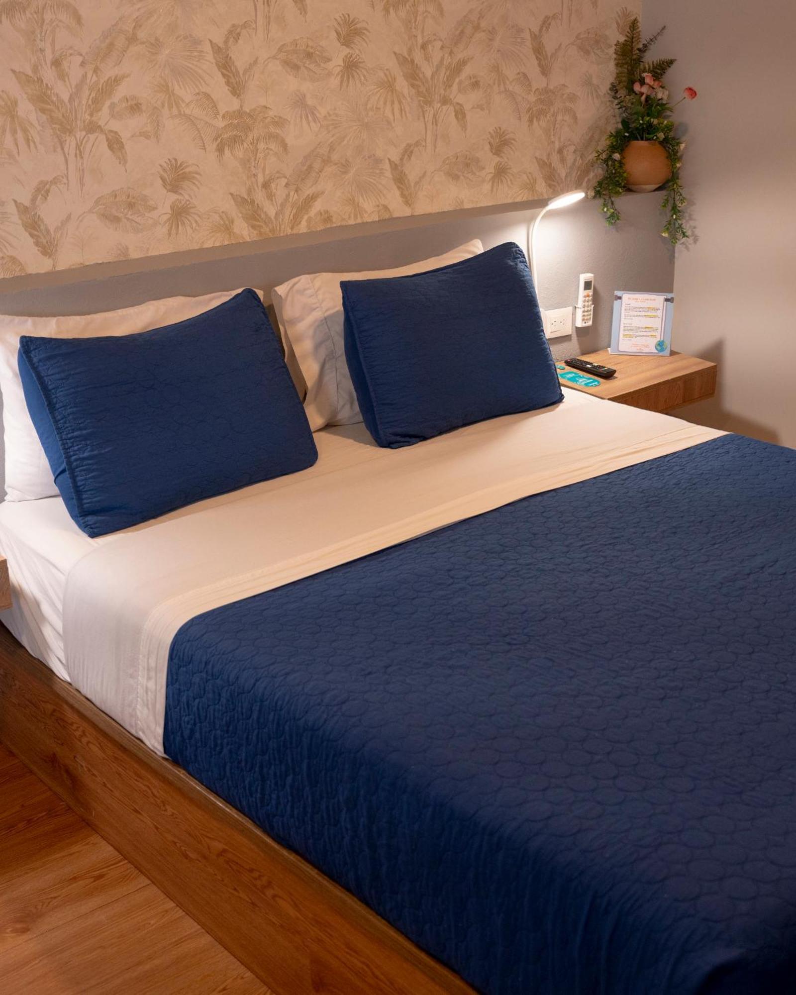 Dreamer Club Hostal