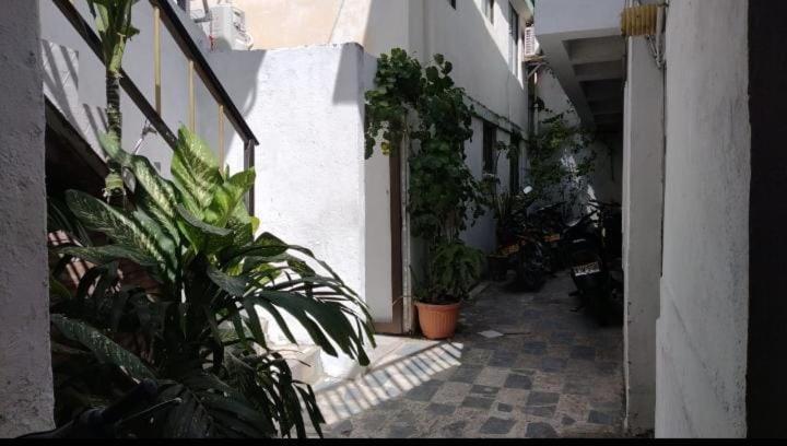 Apartamento Centro Islas San Andrés