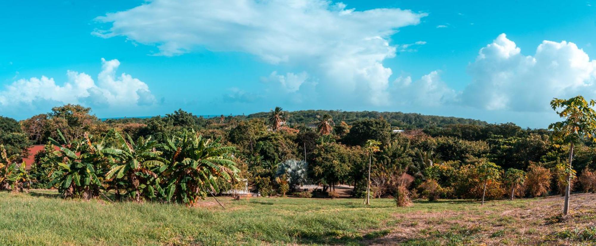 Apartamento Star Apple San Andrés