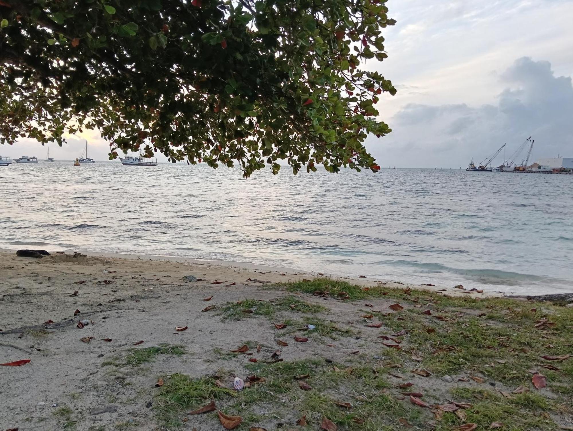 Zharky * San Andrés