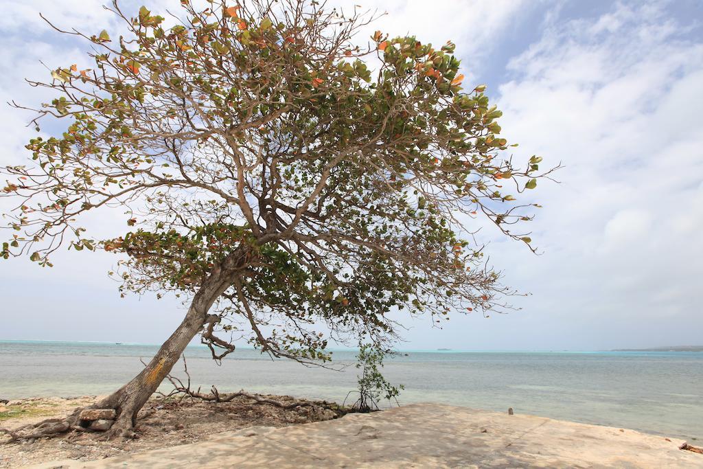 Apartamento Solymar- Edificio Bay Point Apto 304 San Andrés