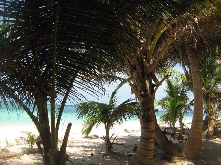Apartamento Zippy's Sea View